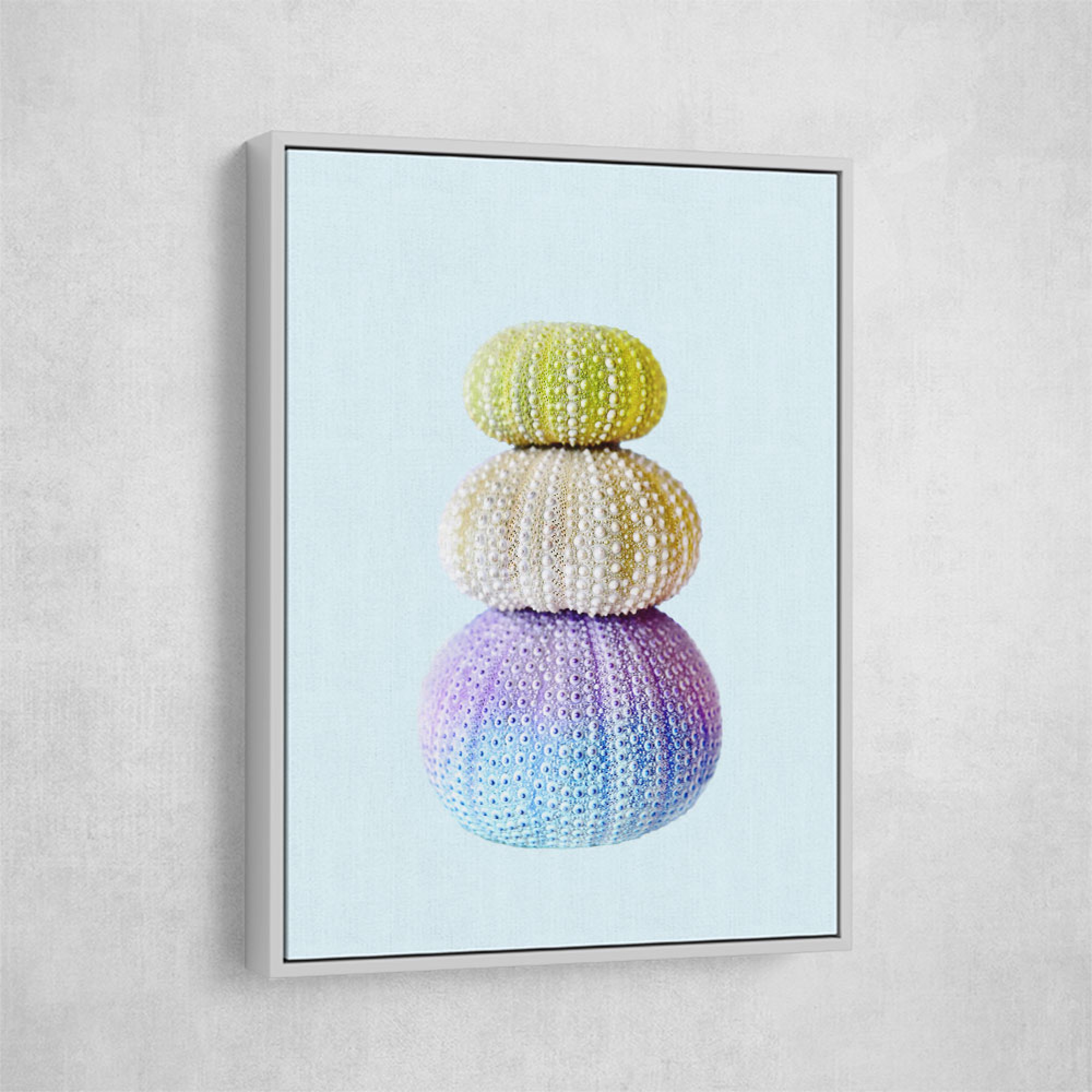 Sea Urchins Wall Art